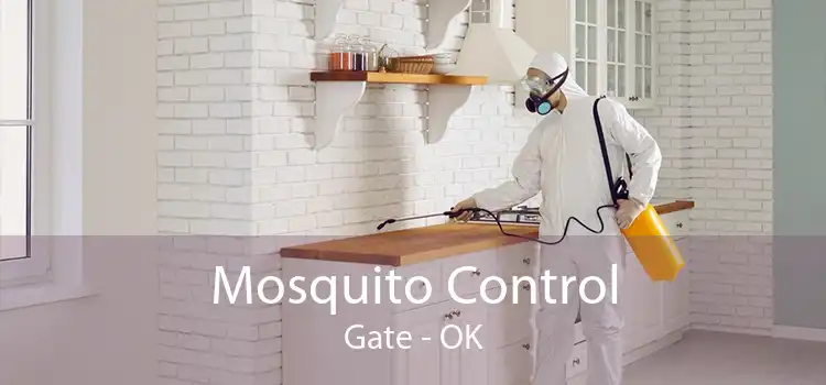 Mosquito Control Gate - OK