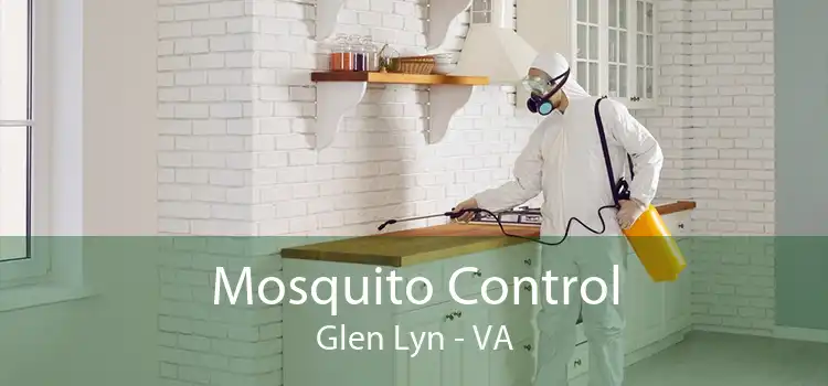 Mosquito Control Glen Lyn - VA