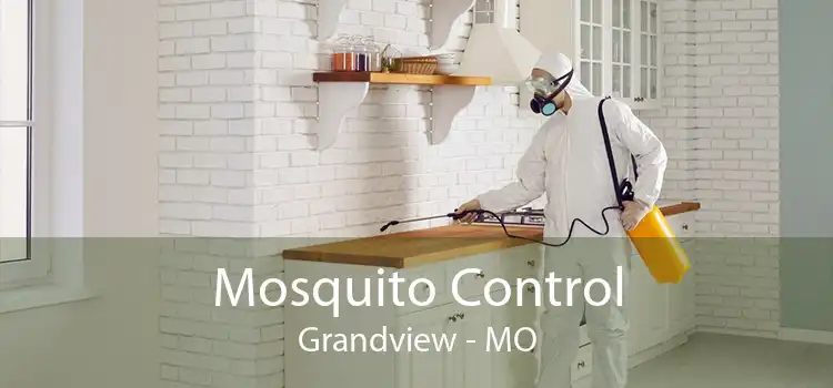 Mosquito Control Grandview - MO