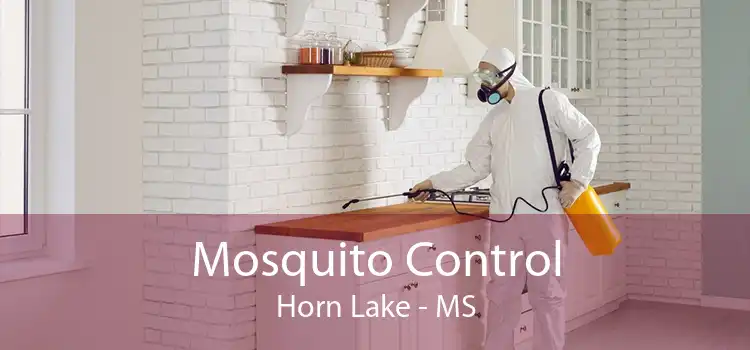 Mosquito Control Horn Lake - MS