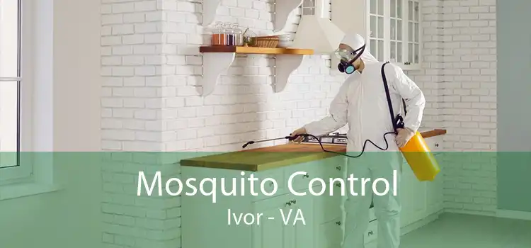 Mosquito Control Ivor - VA