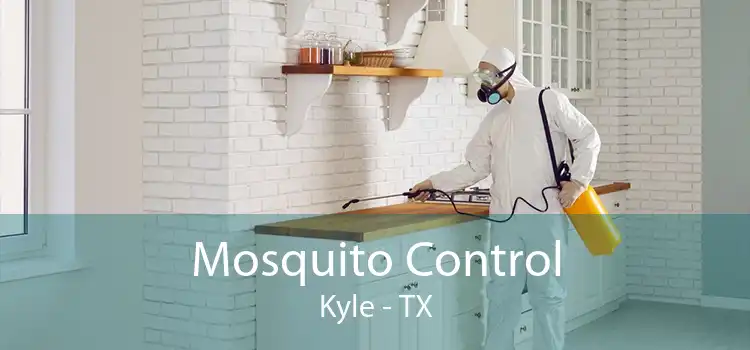 Mosquito Control Kyle - TX