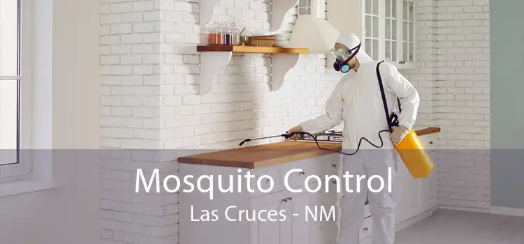 Mosquito Control Las Cruces - NM