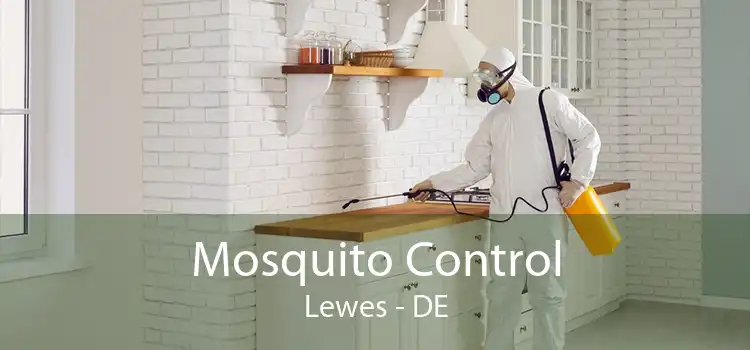 Mosquito Control Lewes - DE