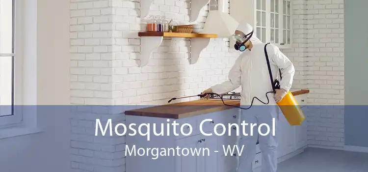 Mosquito Control Morgantown - WV