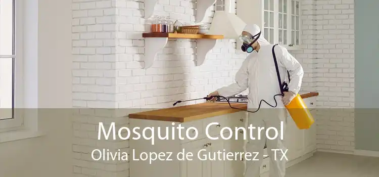 Mosquito Control Olivia Lopez de Gutierrez - TX