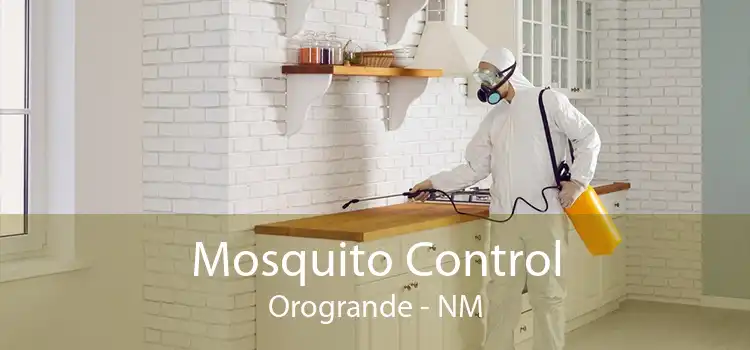 Mosquito Control Orogrande - NM