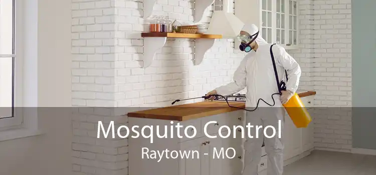 Mosquito Control Raytown - MO