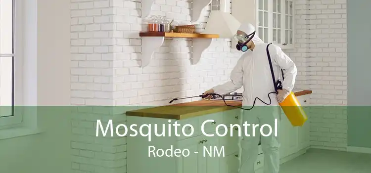 Mosquito Control Rodeo - NM