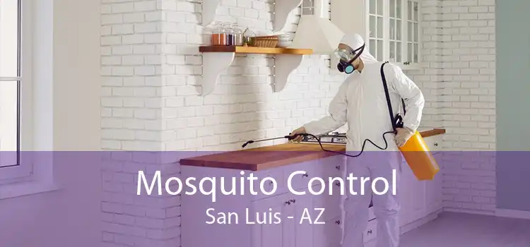 Mosquito Control San Luis - AZ