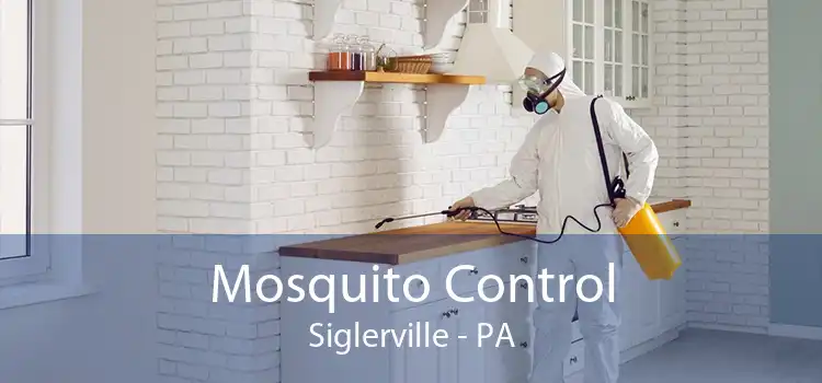 Mosquito Control Siglerville - PA