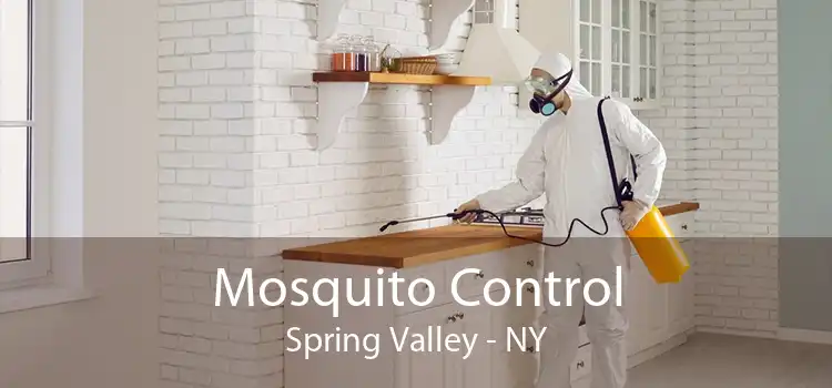 Mosquito Control Spring Valley - NY