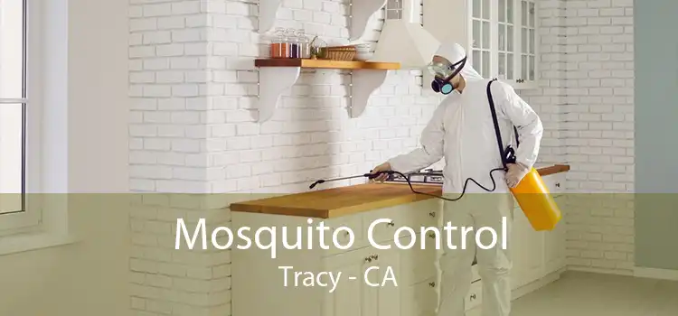 Mosquito Control Tracy - CA