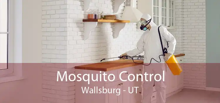 Mosquito Control Wallsburg - UT