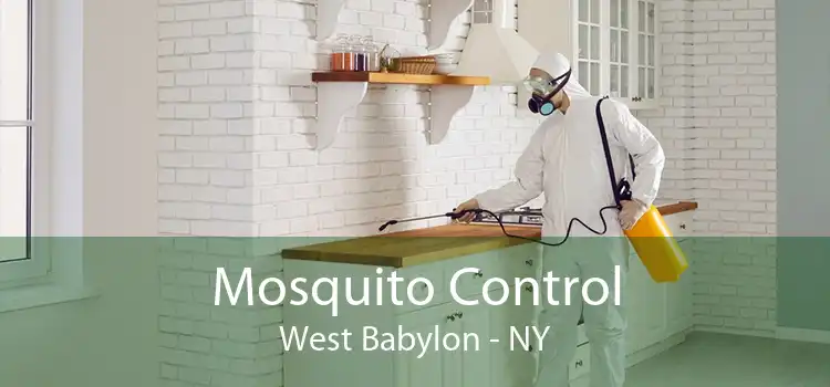 Mosquito Control West Babylon - NY