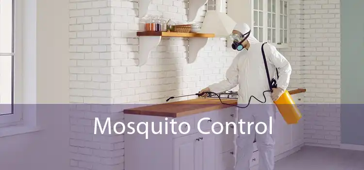 Mosquito Control 