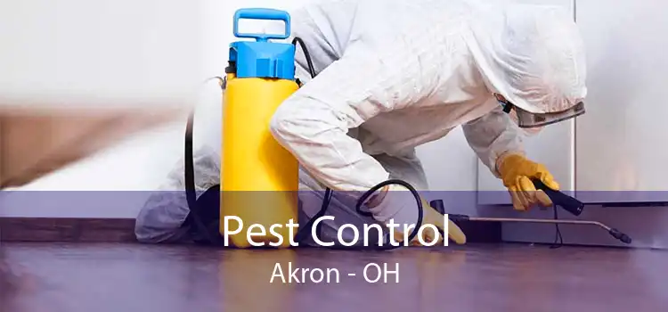 Pest Control Akron - OH