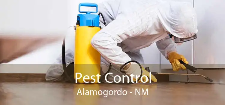 Pest Control Alamogordo - NM