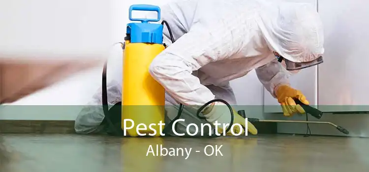 Pest Control Albany - OK