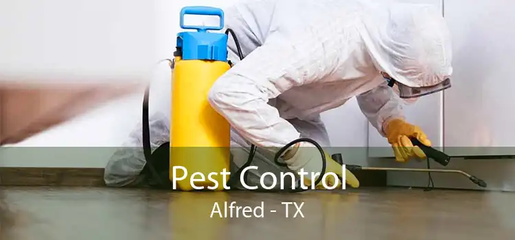 Pest Control Alfred - TX