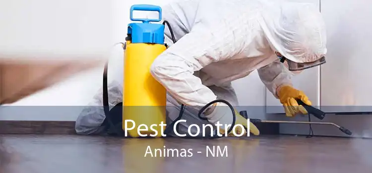 Pest Control Animas - NM