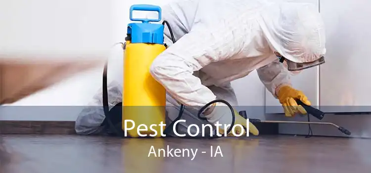 Pest Control Ankeny - IA