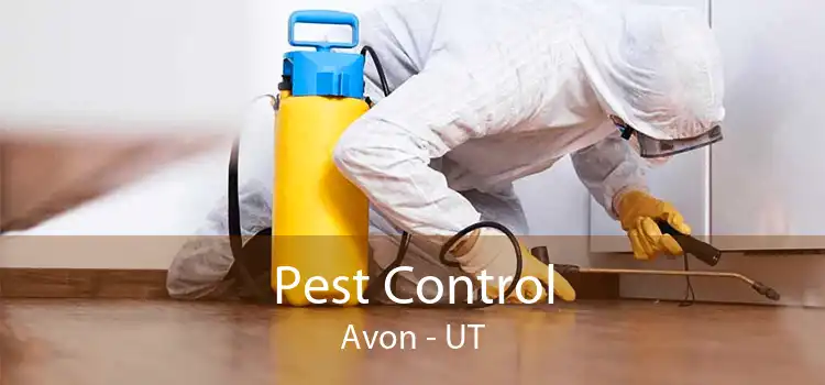 Pest Control Avon - UT