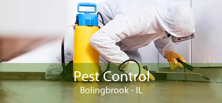 Pest Control Bolingbrook - IL