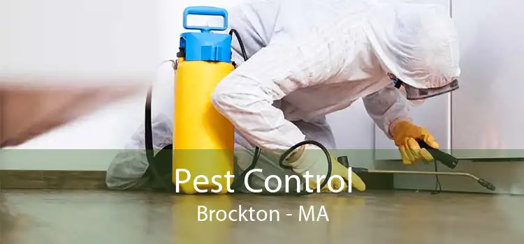 Pest Control Brockton - MA