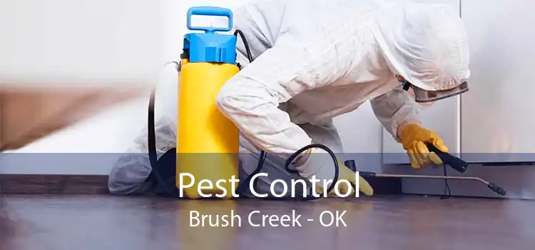 Pest Control Brush Creek - OK