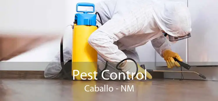 Pest Control Caballo - NM