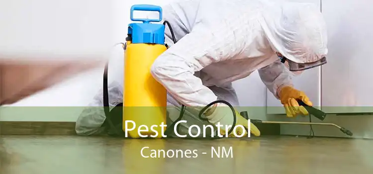 Pest Control Canones - NM