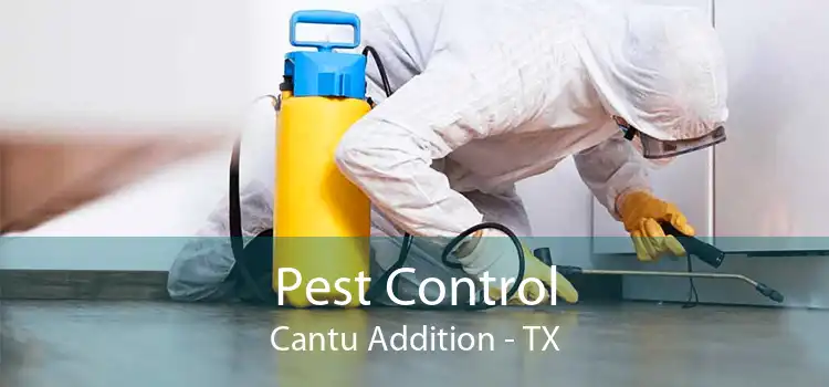 Pest Control Cantu Addition - TX