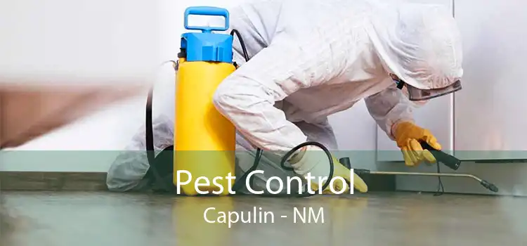 Pest Control Capulin - NM