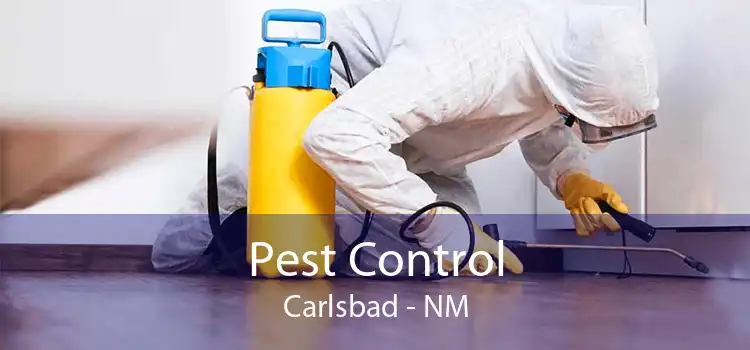 Pest Control Carlsbad - NM