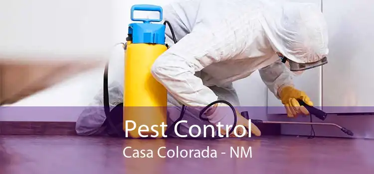 Pest Control Casa Colorada - NM