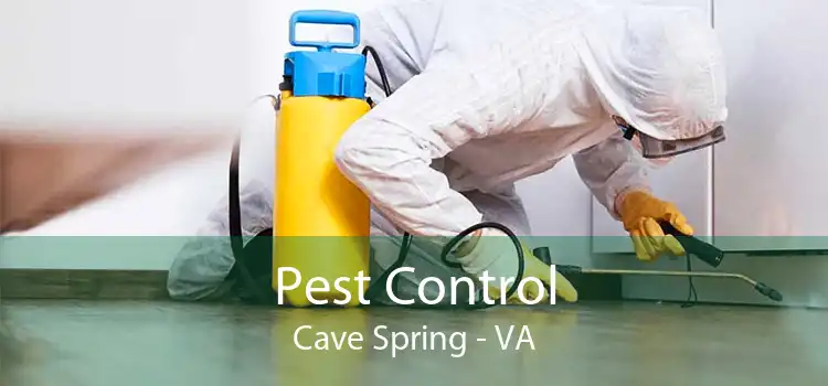 Pest Control Cave Spring - VA