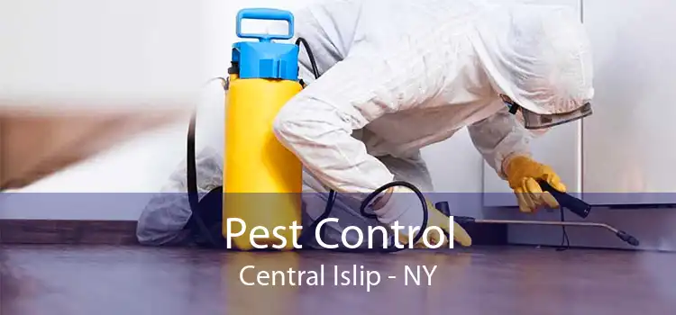 Pest Control Central Islip - NY