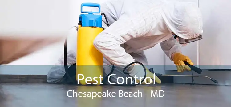 Pest Control Chesapeake Beach - MD