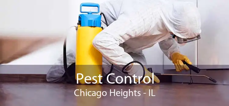 Pest Control Chicago Heights - IL