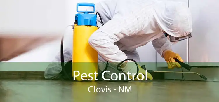 Pest Control Clovis - NM