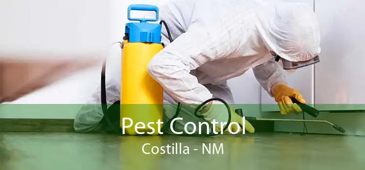 Pest Control Costilla - NM