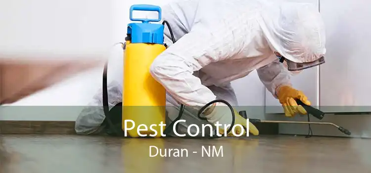 Pest Control Duran - NM