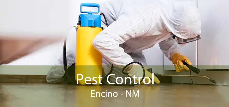 Pest Control Encino - NM