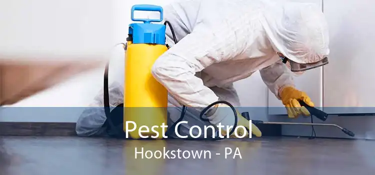 Pest Control Hookstown - PA