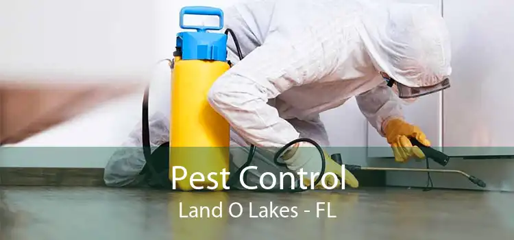 Pest Control Land O Lakes - FL