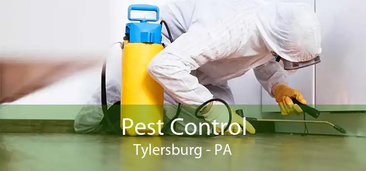 Pest Control Tylersburg - PA