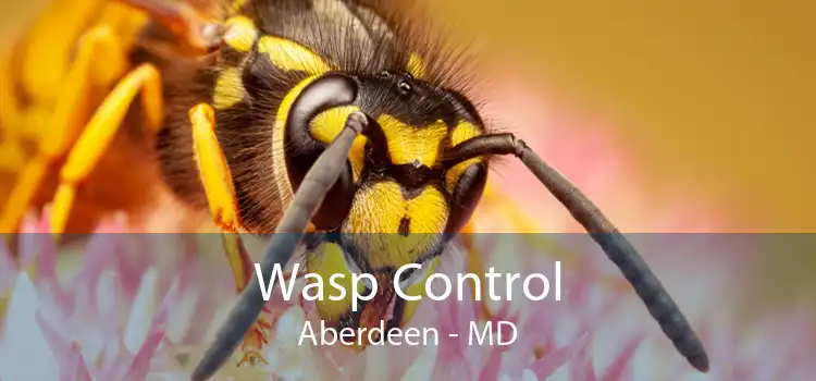 Wasp Control Aberdeen - MD