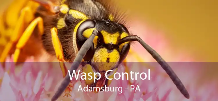 Wasp Control Adamsburg - PA