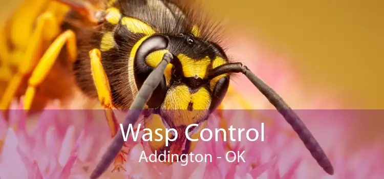 Wasp Control Addington - OK